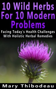 10_Wild_Herbs_For_10_Modern_Problems2